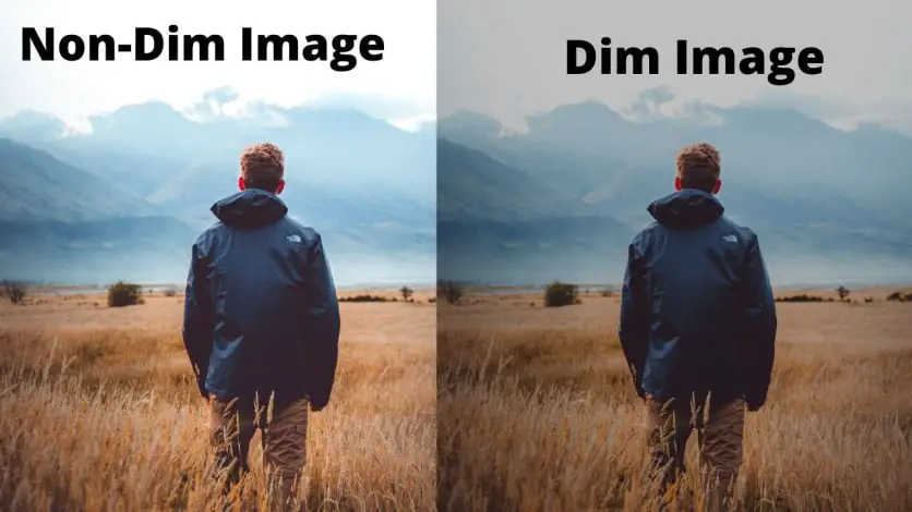 Dim images vs non dim images on monitor screen