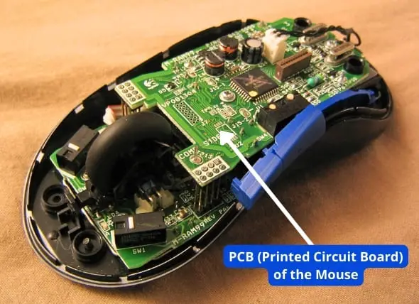 PCB (Printed Circuit Board) of the Mouse