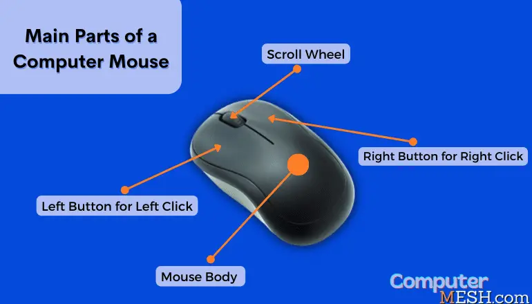 Parts of a Computer Mouse