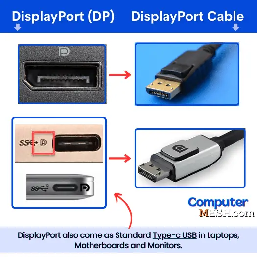 Regular DisplayPort and USB-C (DisplayPort Alternate Mode) with Cable Connector Picture